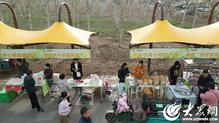 匠心傳承，共富同行 廣饒縣李鵲鎮“好品李鵲共富市集”上的麥秸畫藝術