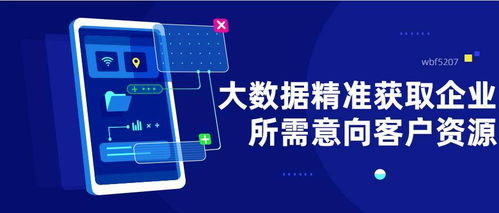 大數(shù)據(jù)精準營銷 破解飛蜥等企業(yè)起步獲客難題的利器
